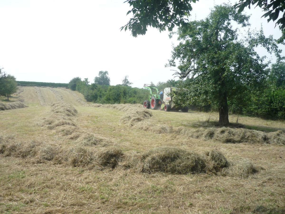 Hoeve Mingels *